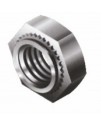 Hex Nuts