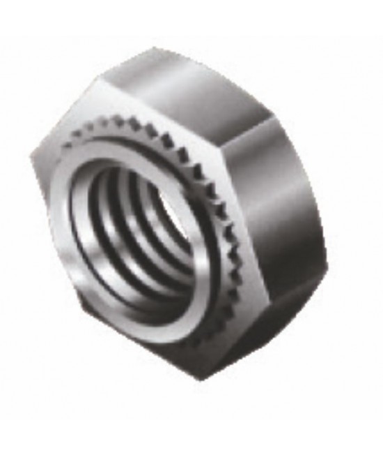 Hex Nuts